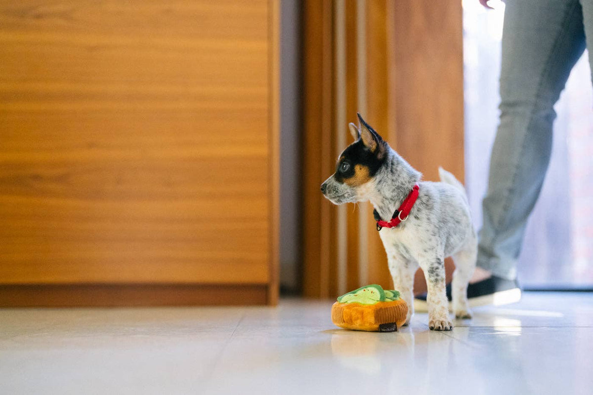 P.L.A.Y Avo-doggo Toast