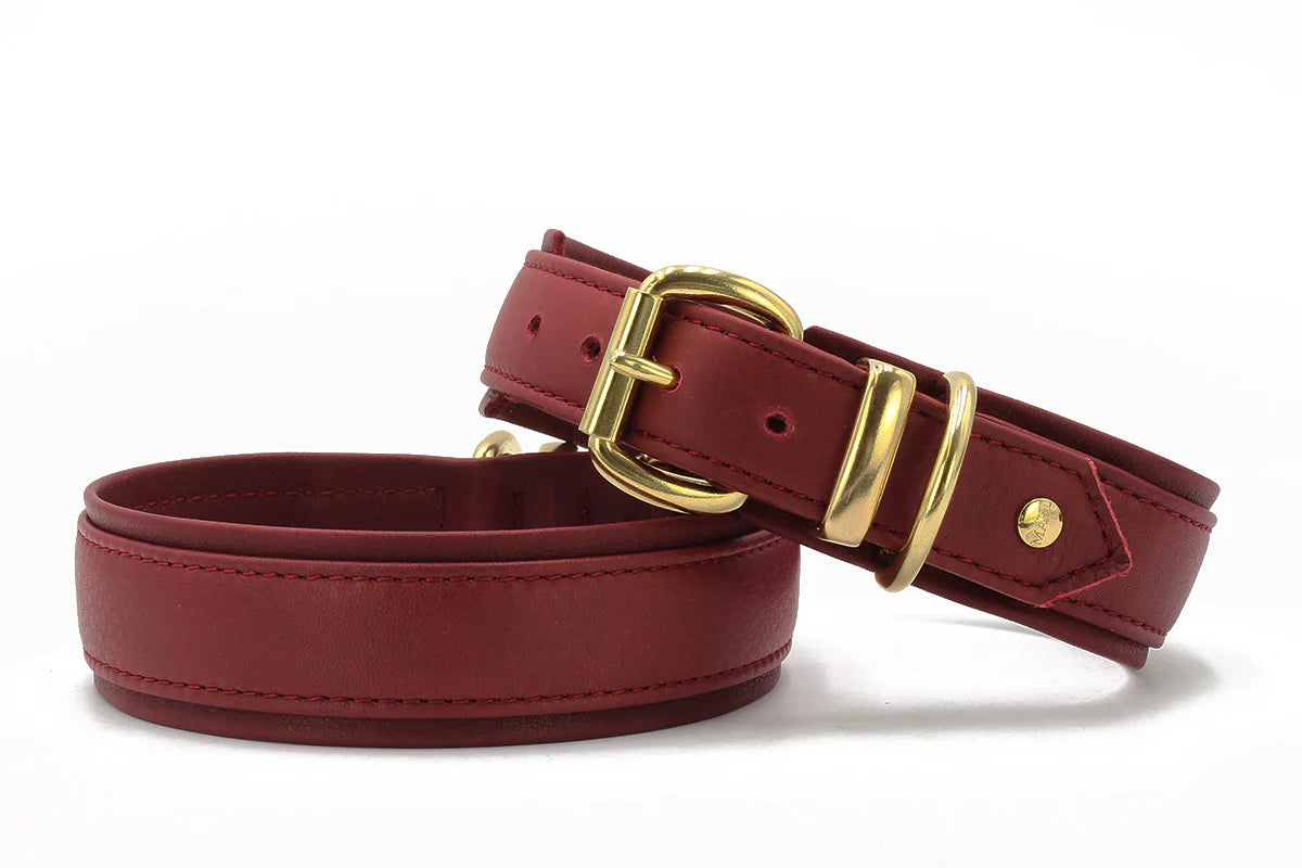 Obojek Classic soft gold