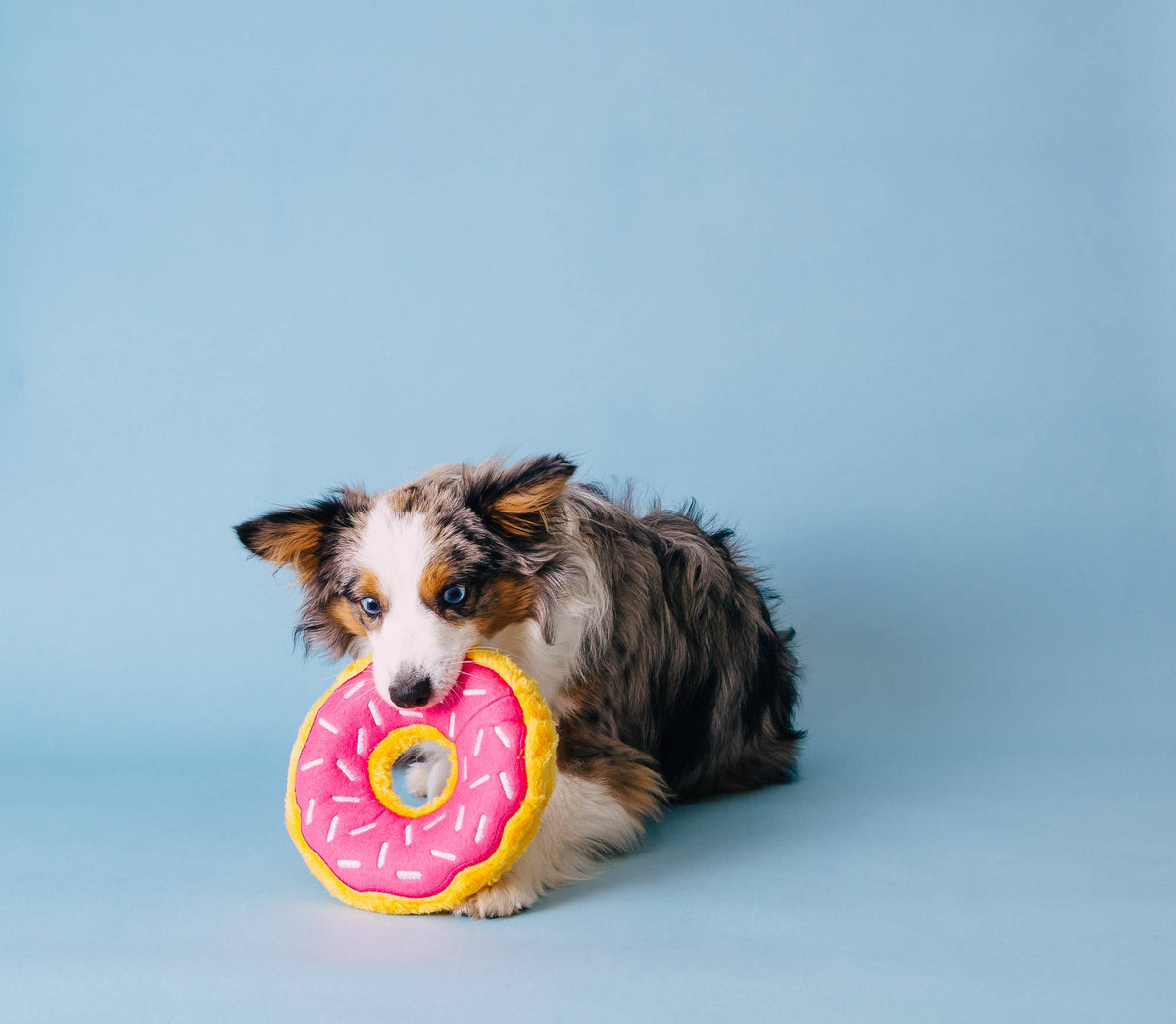 ZippyPaws Donutz