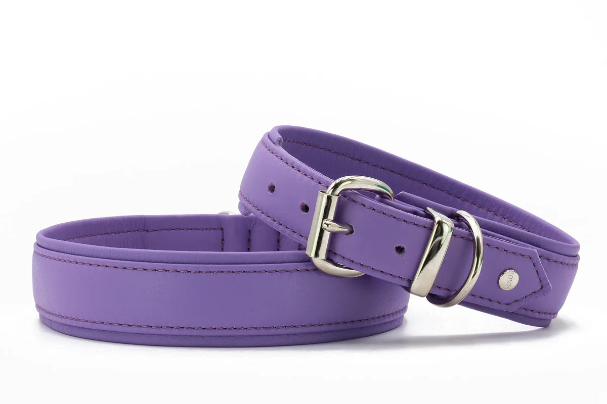 Kožený obojek Classic Soft Colors