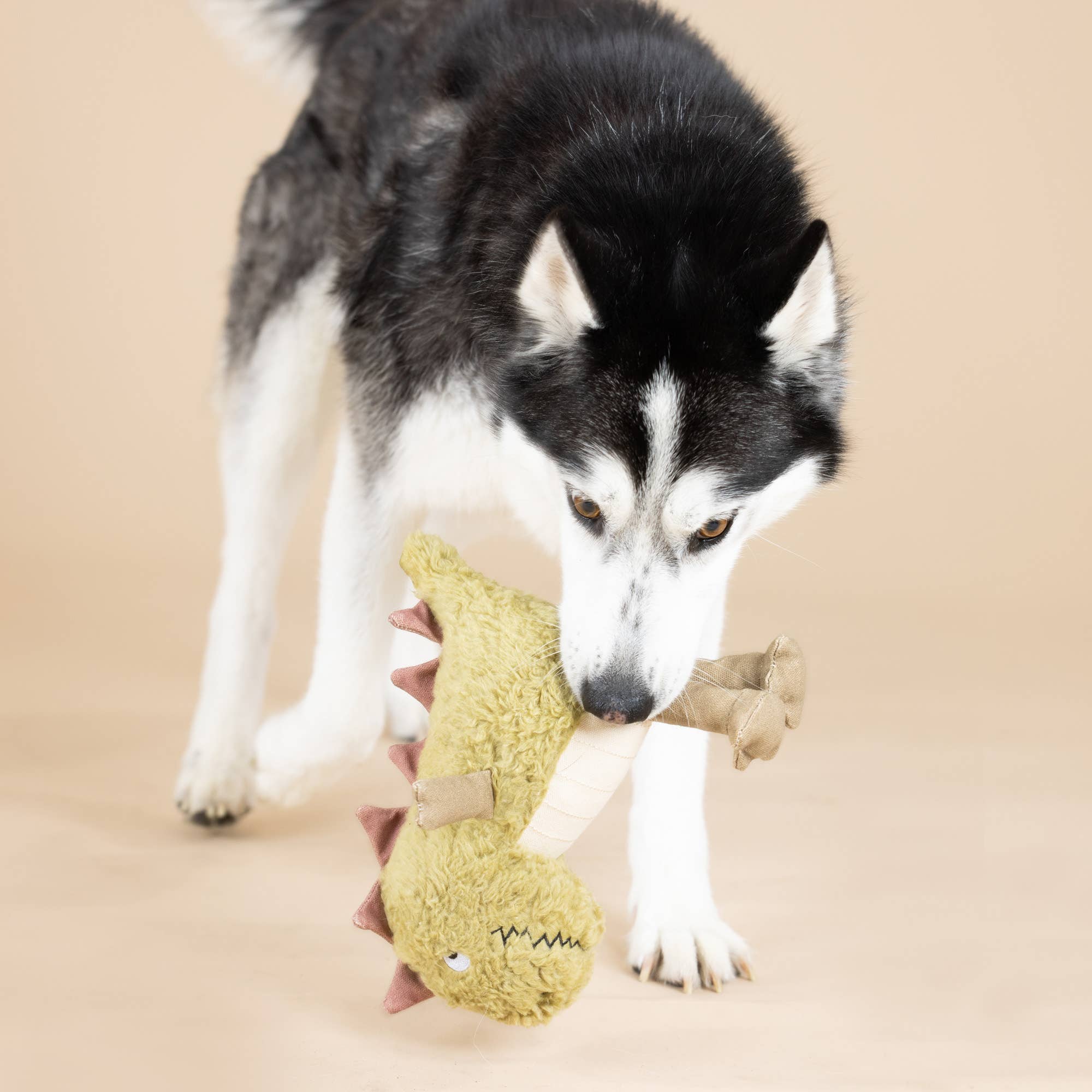 Interaktivní hračka - dinosaurus