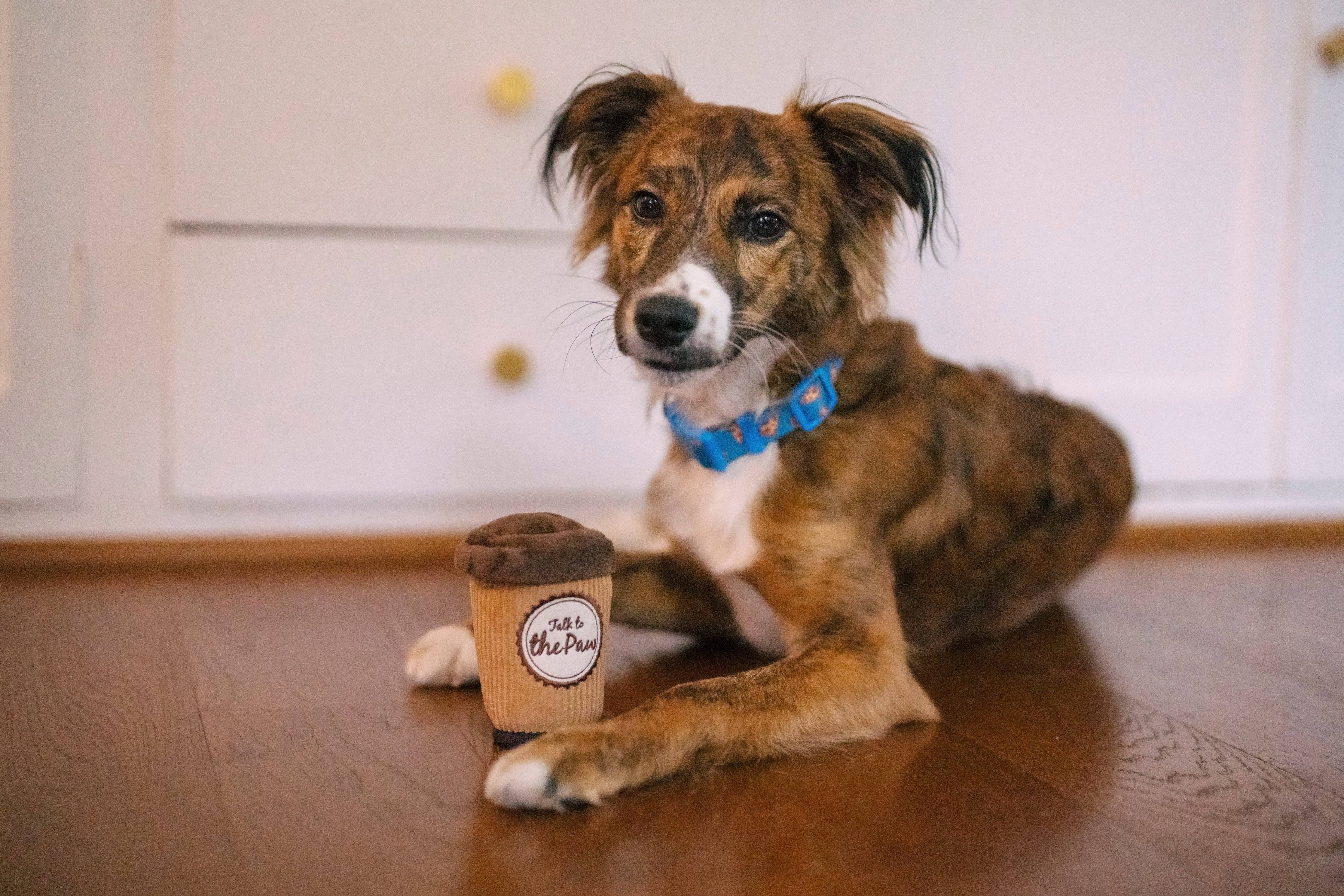 P.L.A.Y Cafe Doggo's interaktivní hračka