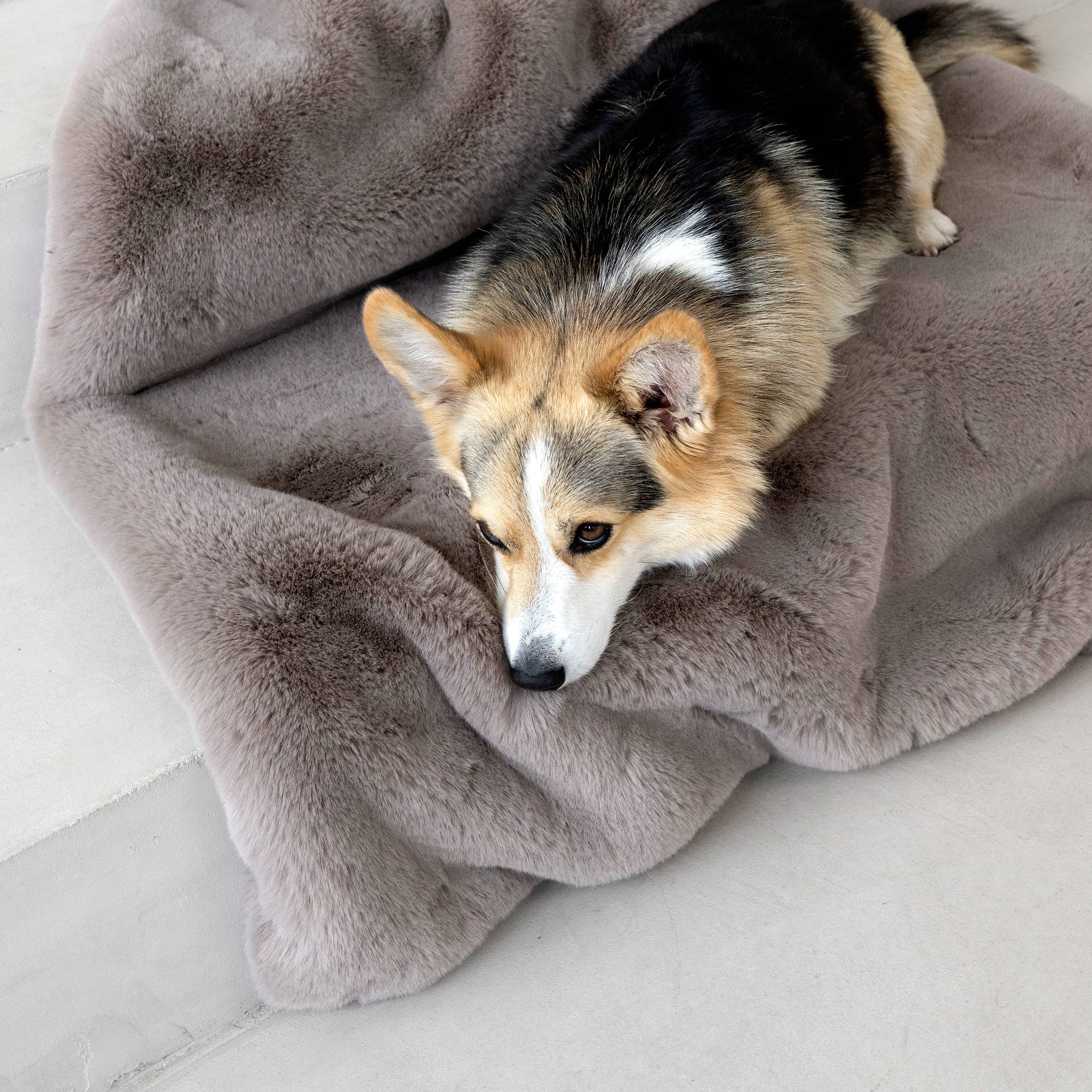 Luxusní deka z umělé kožešiny Soft Affair