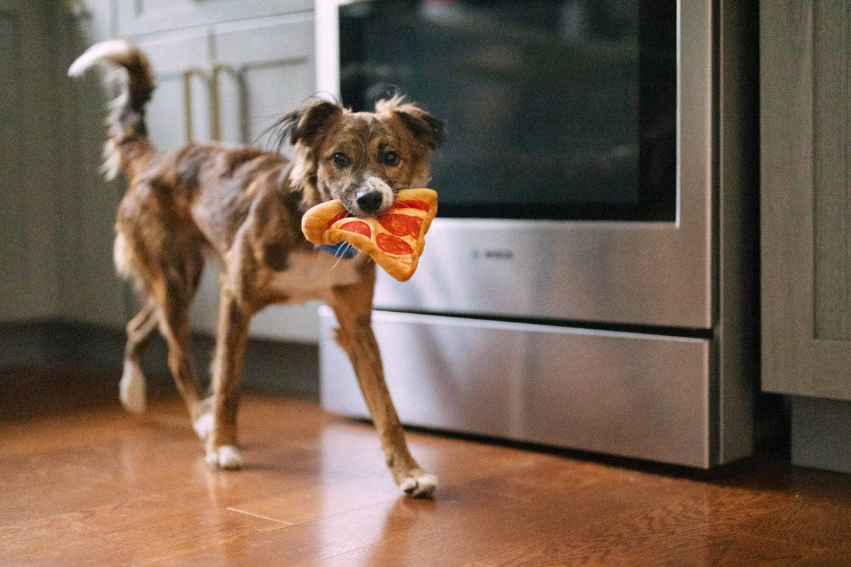 P.L.A.Y Puppy-roni Pizza