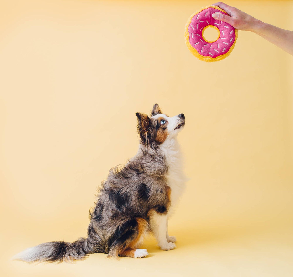 ZippyPaws Donutz