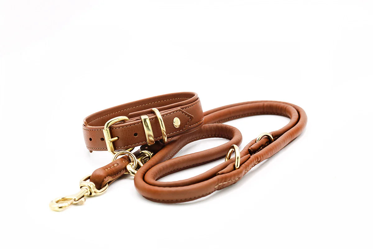 Obojek Classic soft gold