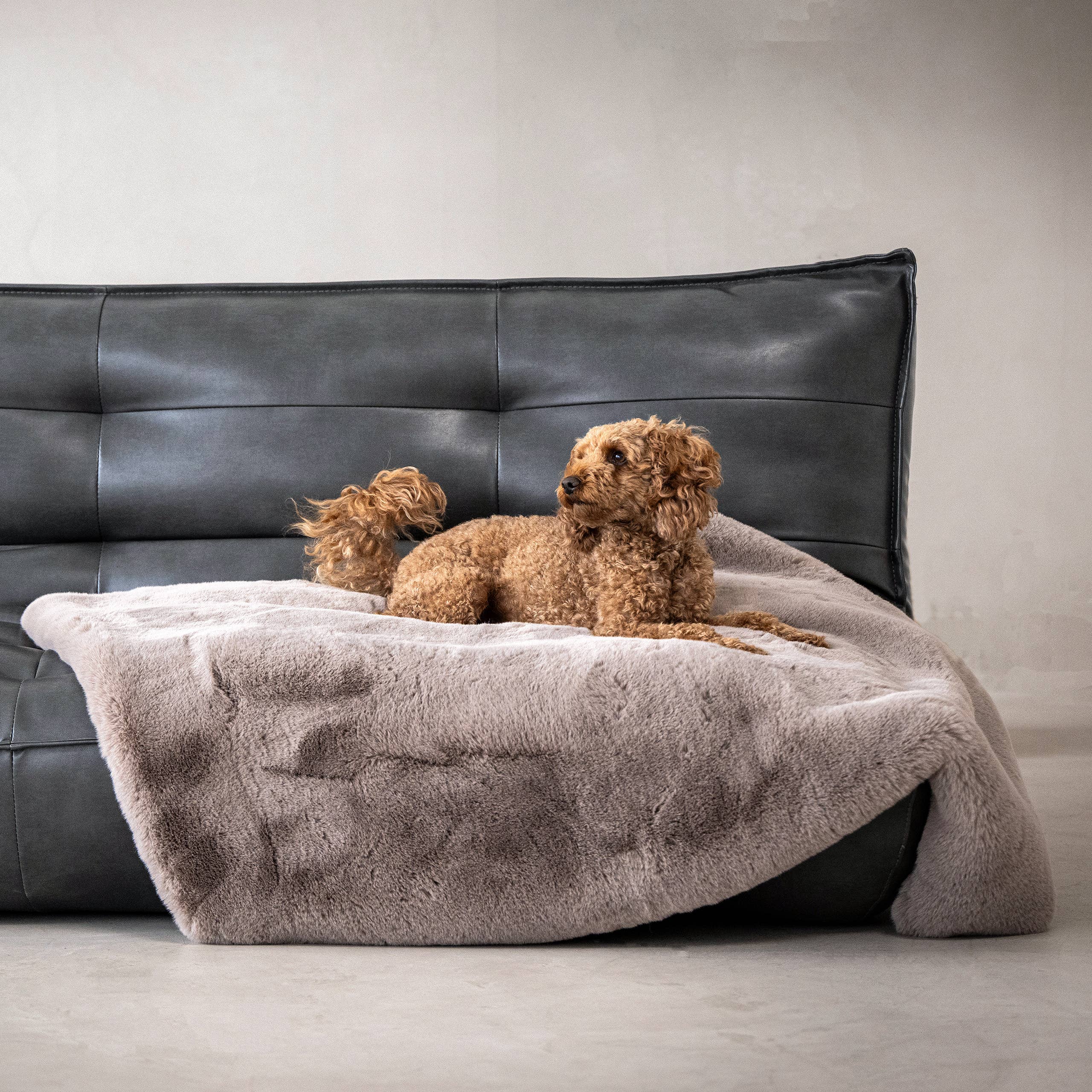 Luxusní deka z umělé kožešiny Soft Affair