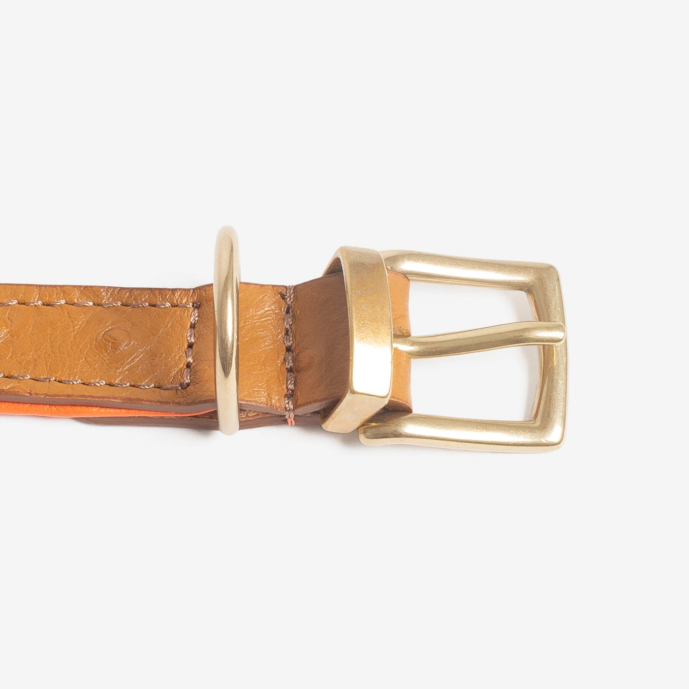 Obojek z pštrosí kůže Brown & Orange