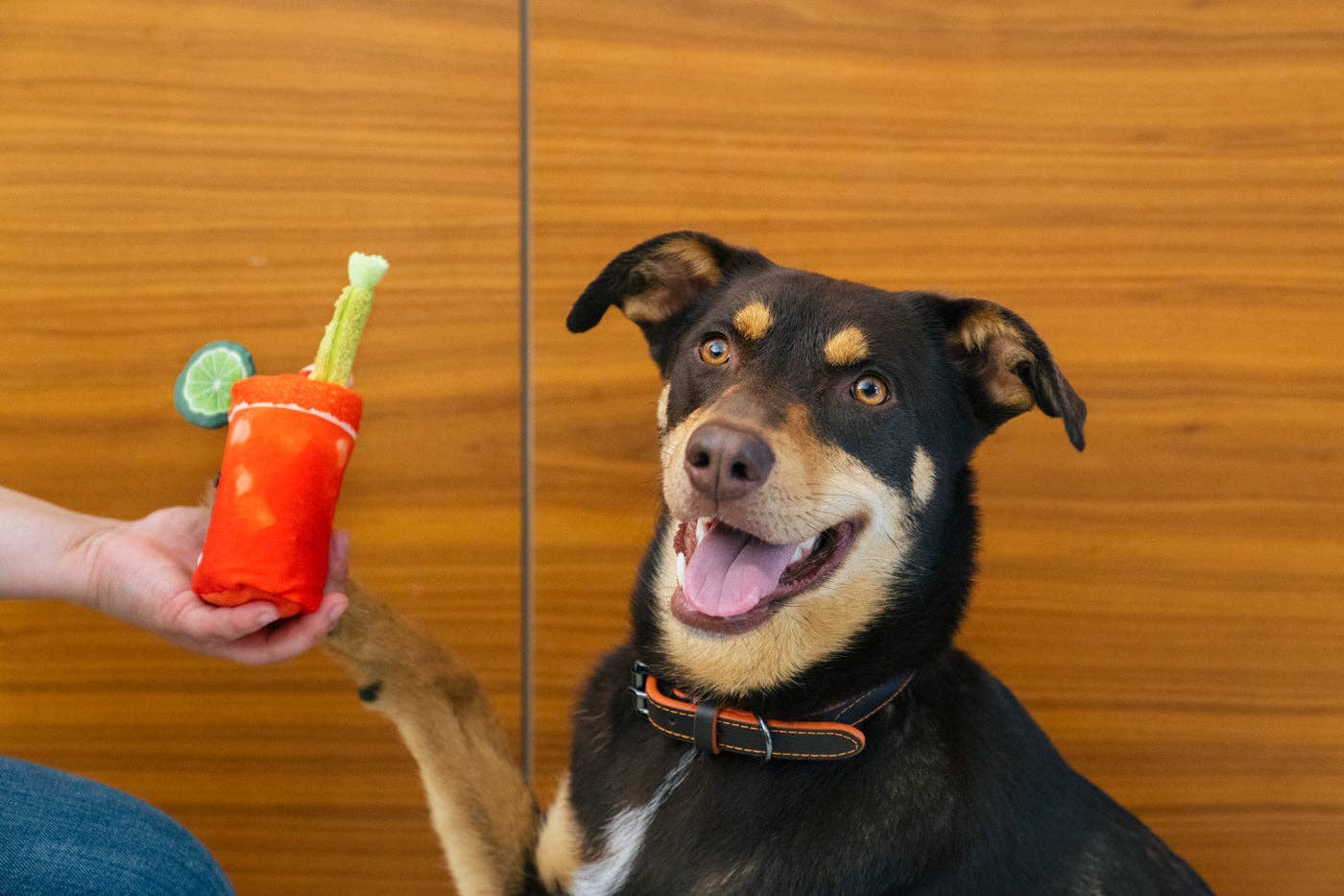 Interaktivní hračka pro psy P.L.A.Y Barking Brunch Buddy Mary