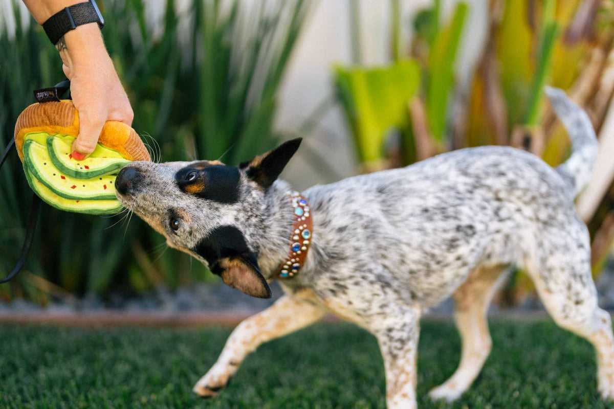 P.L.A.Y Avo-doggo Toast