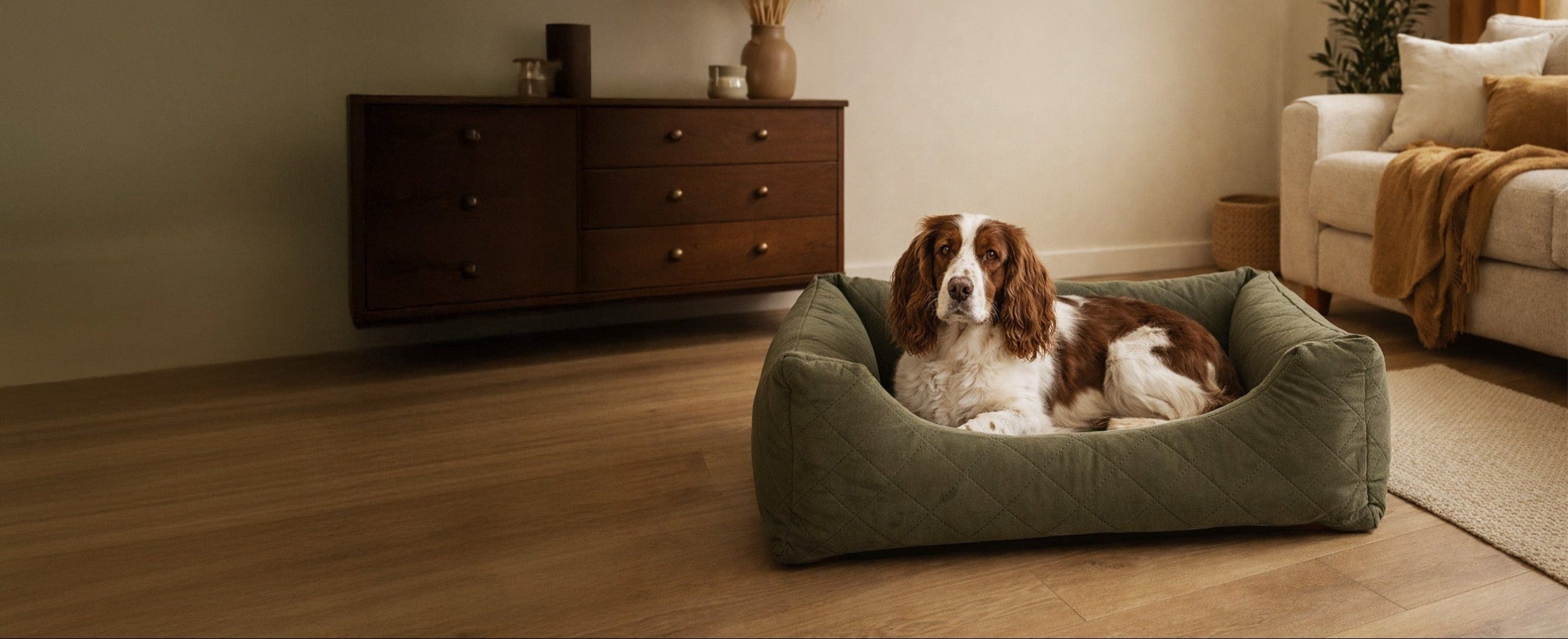 Dog lying on a green pet bed in a cozy living room.